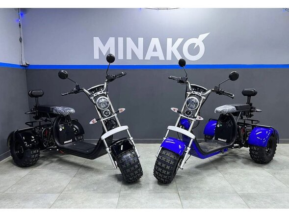 Трехколесный электроскутер Minako Rex